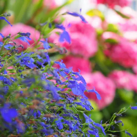 公寓 Casetta Gialla 贾韦诺