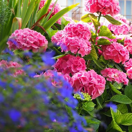 דירה Casetta Gialla