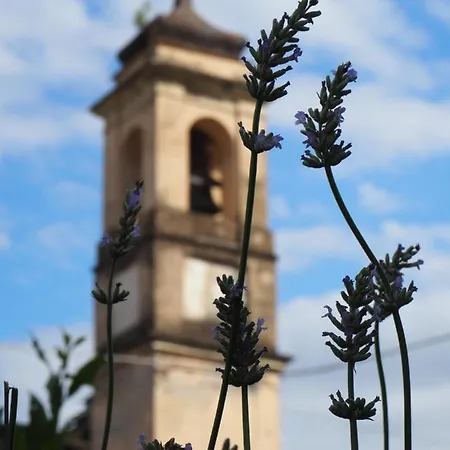 Casetta Gialla 公寓 贾韦诺