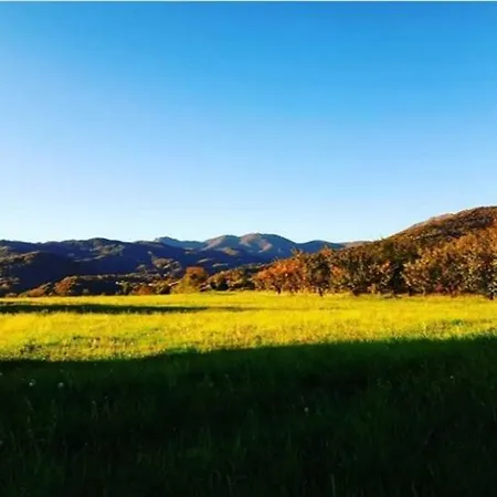 公寓 Casetta Gialla 贾韦诺