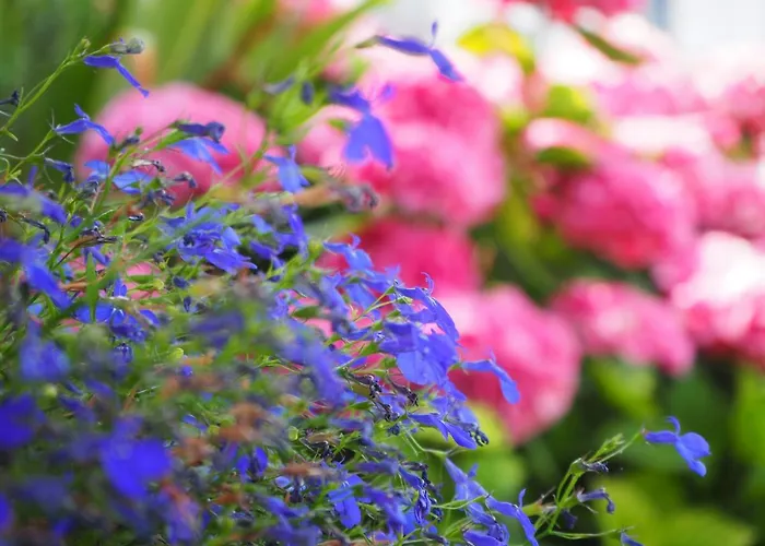 דירה Casetta Gialla Giaveno