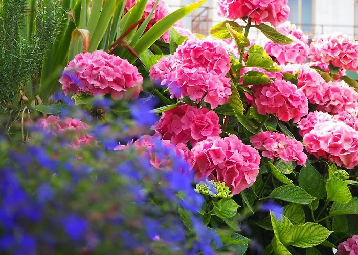 דירה Casetta Gialla